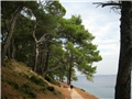 Lošinj
